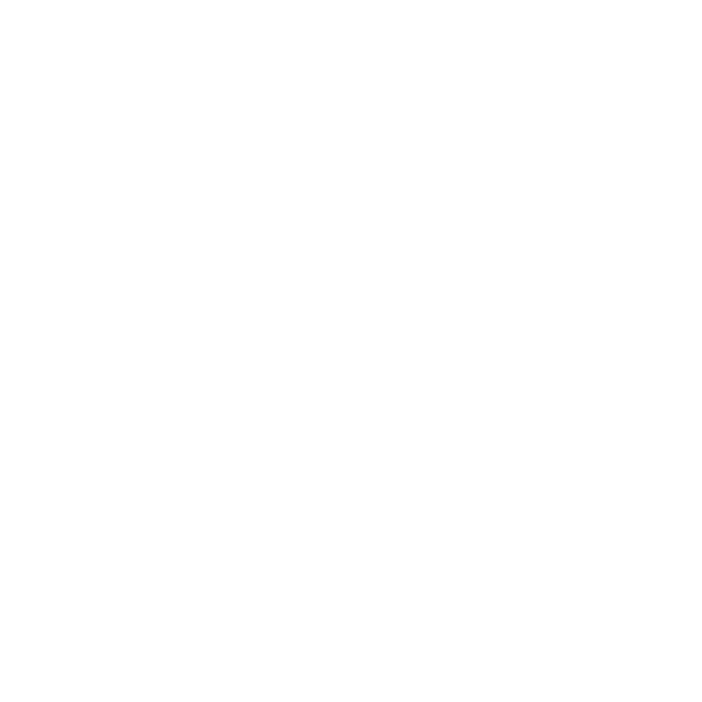 VAMOS logo
